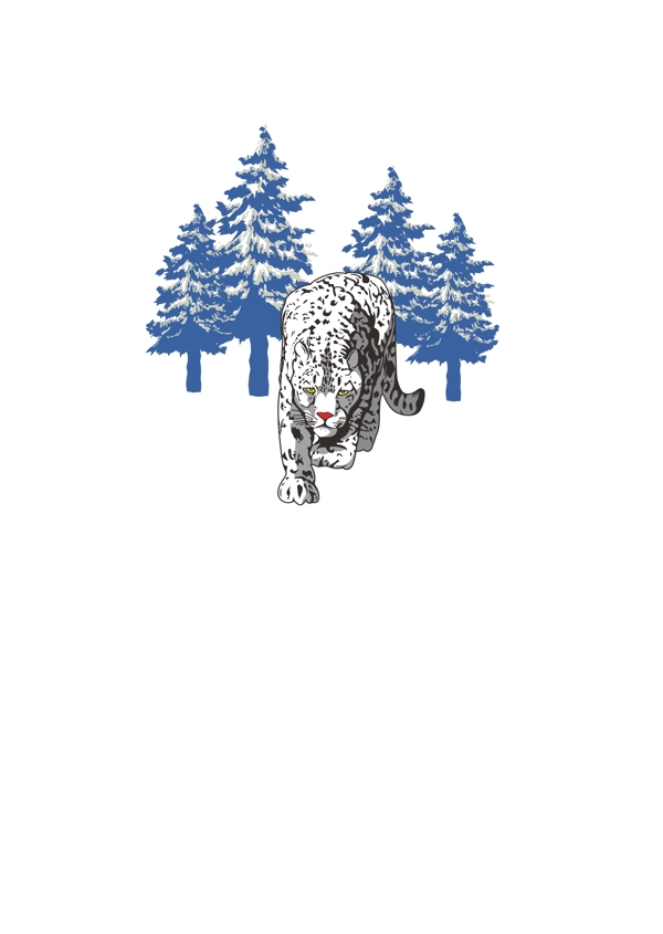 雪杉豹子圖片