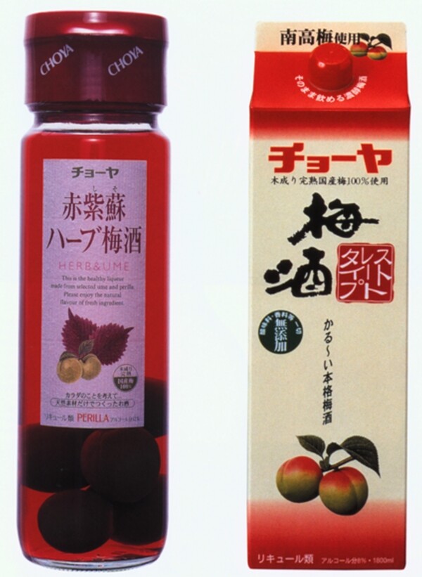 畫冊(cè)版式樣本