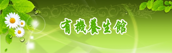 有機養(yǎng)生館banner圖片