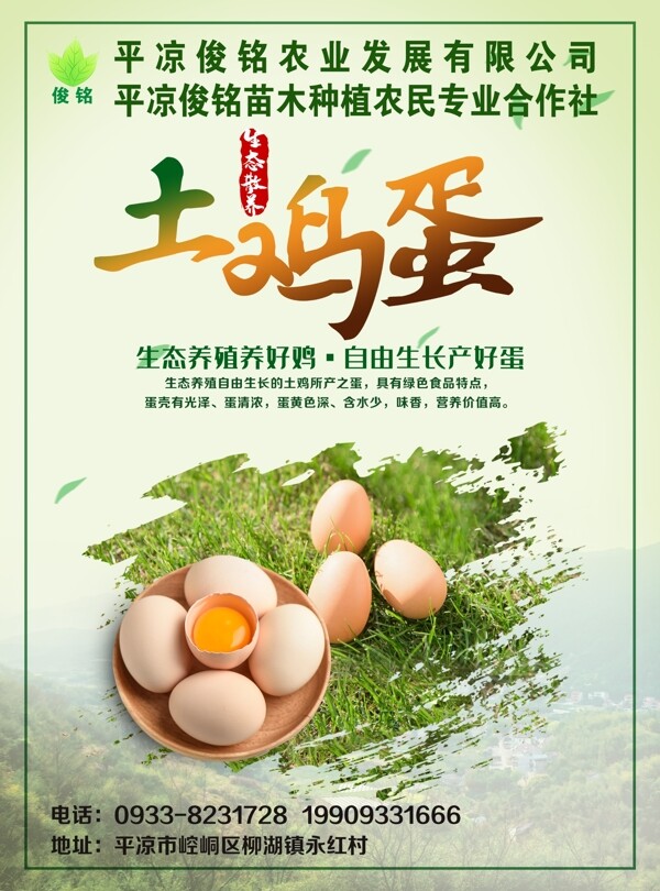 土鸡蛋农家鸡蛋竖版海报
