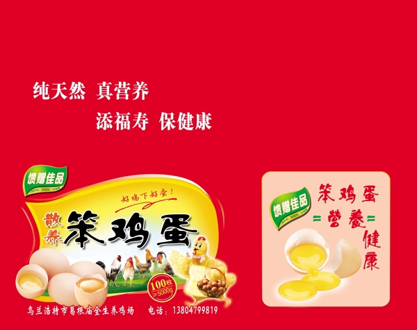 雞蛋箱子圖片
