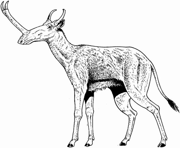 遠(yuǎn)古時(shí)代的動(dòng)物恐龍手繪畫動(dòng)物素描