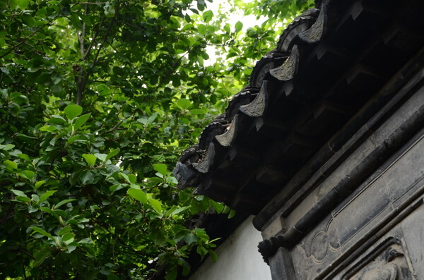 拙政園