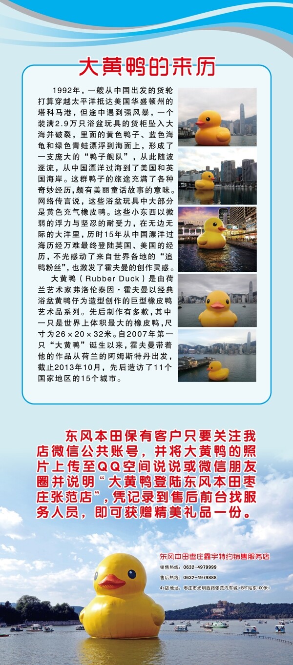 大黃鴨易拉寶圖片