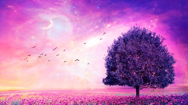紫色的树