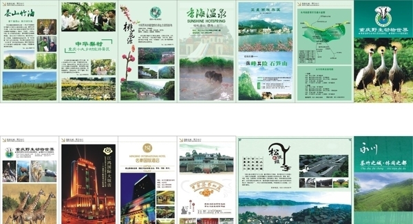 旅游折頁(yè)圖片