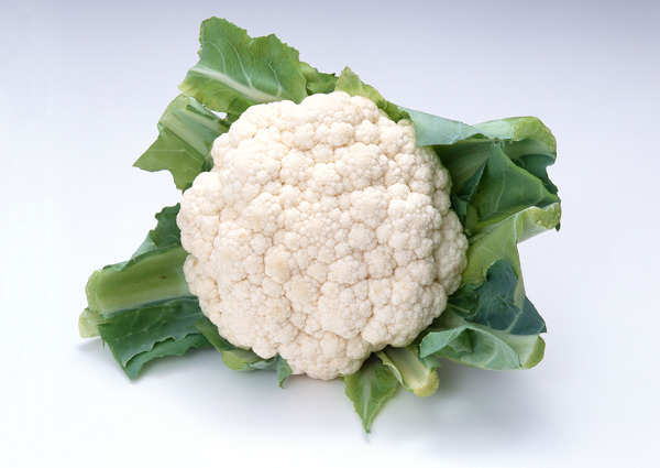 花菜圖片