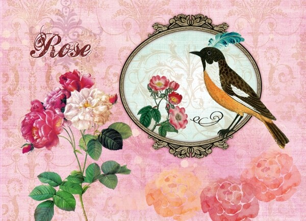 玫瑰与鸟
