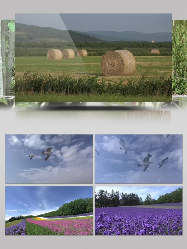 4K超清实拍日本北海道唯美景观宣传视频