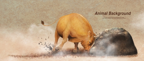 動物