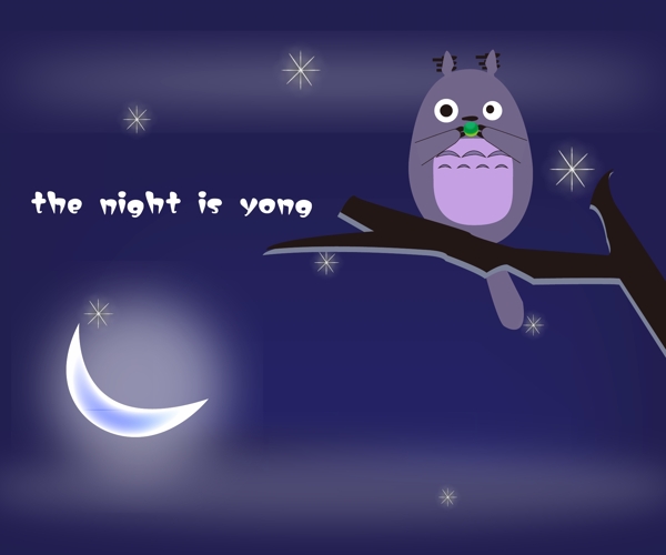 黑夜龙猫