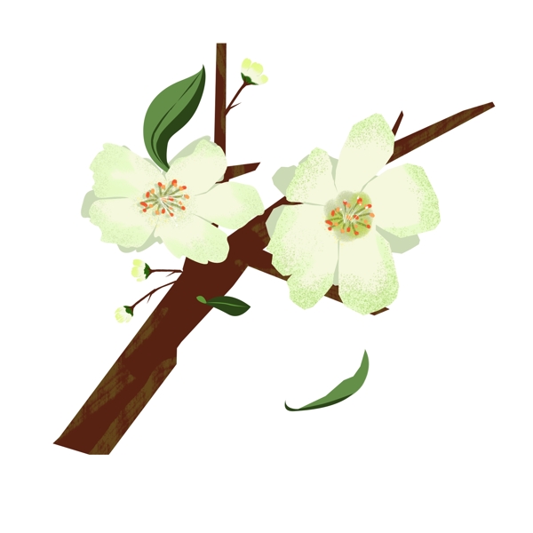 春天元素梨花白色花朵花枝花卉手绘简约风3