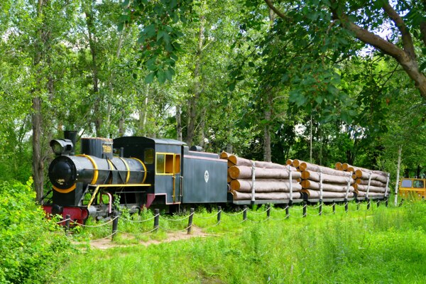 森林小火车