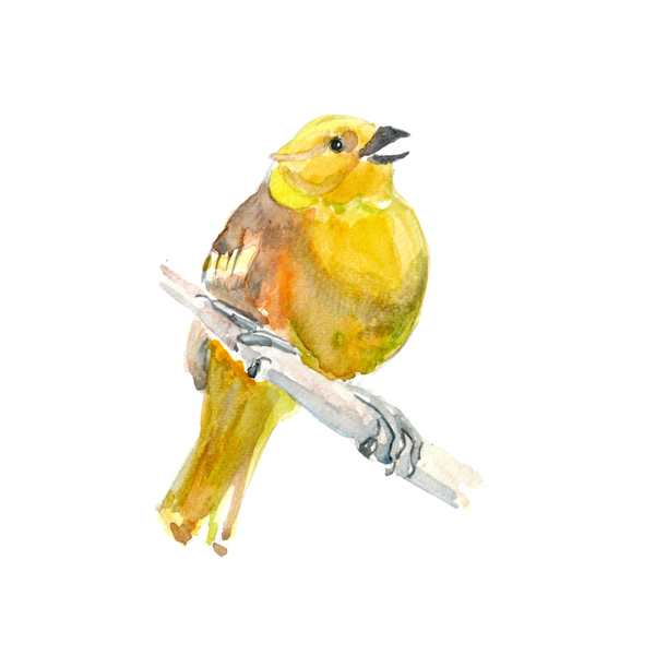 位圖插畫時尚插畫動物插畫藝術(shù)效果免費素材