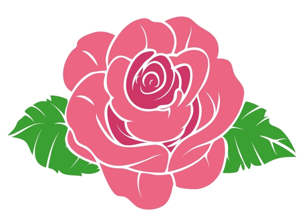 玫瑰