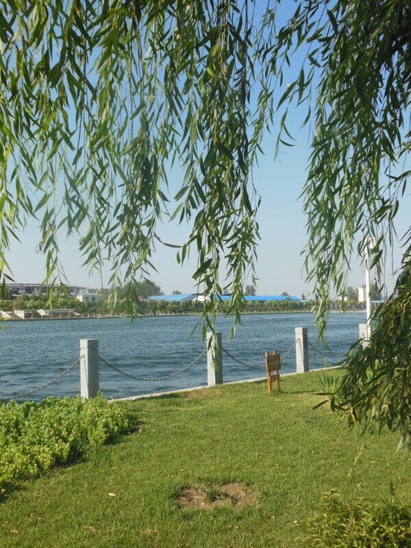 風(fēng)景圖片
