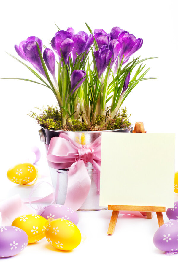 春天鲜花与复活节彩蛋图片