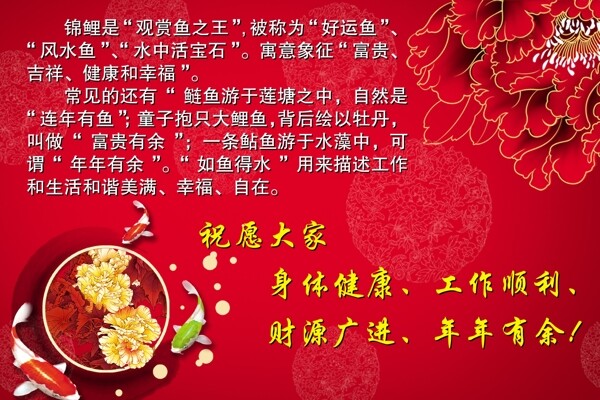 錦鯉牡丹