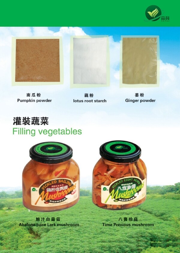 企業(yè)宣傳冊圖片