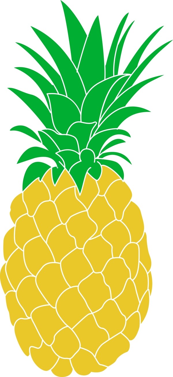 菠蘿