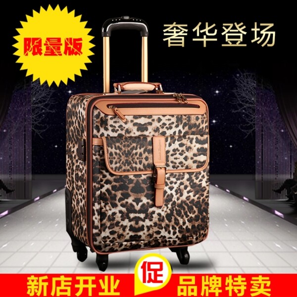 手拉行李箱