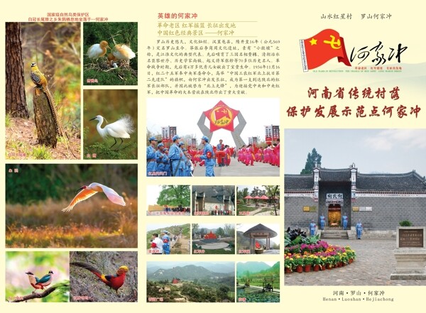 何家沖