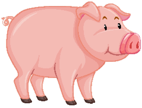 猪手绘猪卡通猪图片