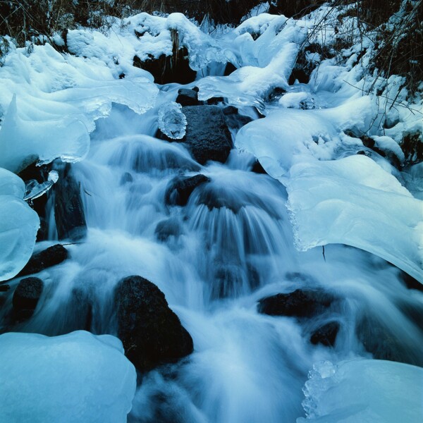 流淌的小溪上的冰冻图片