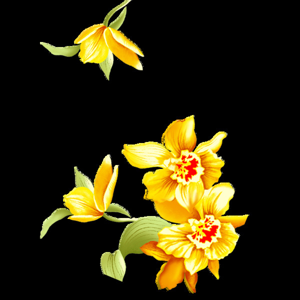 金黄色手绘花朵唯美素材
