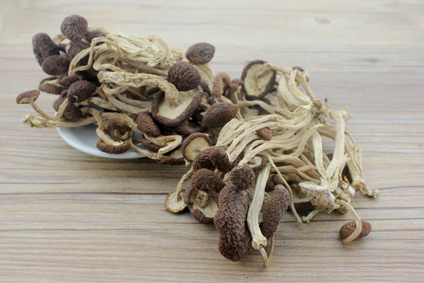 茶樹菇干