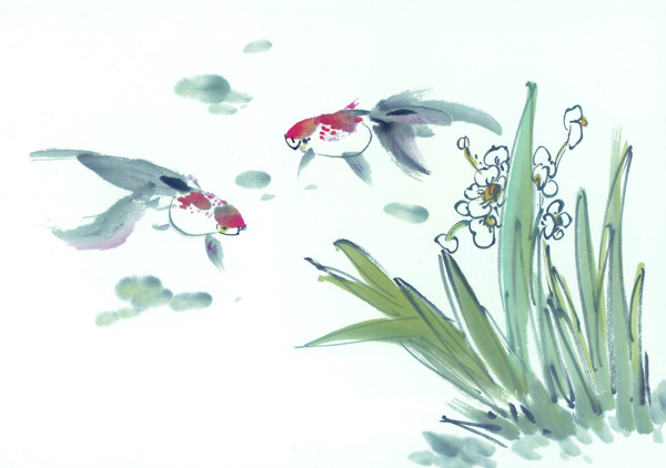 古圖繪畫(huà)動(dòng)物魚(yú)類(lèi)生物