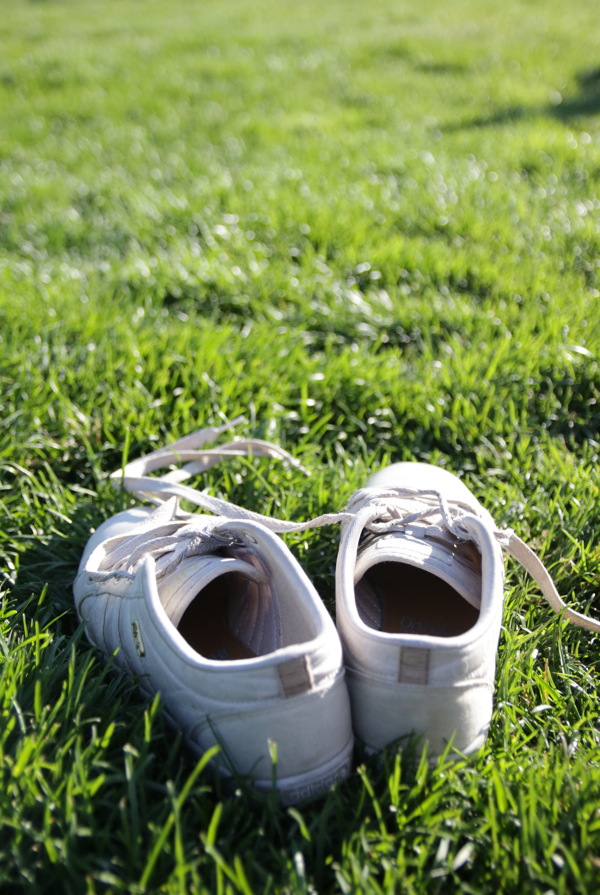 高清草地上鞋子图片素材