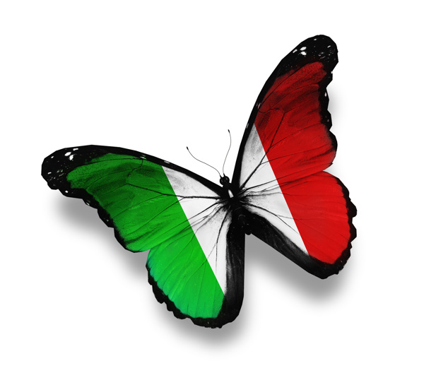 意大利国旗蝴蝶图片