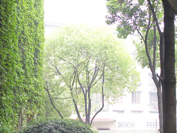 田園風(fēng)格裝飾效果