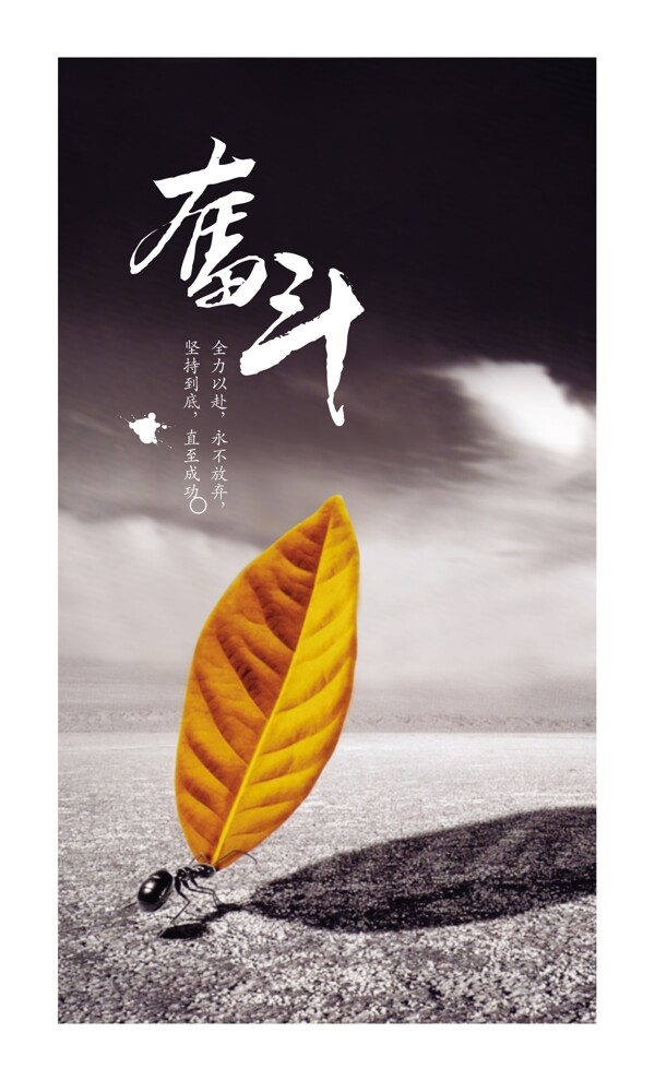 奋斗