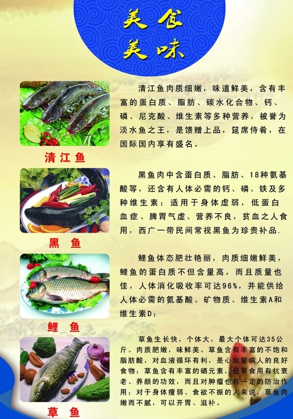 魚類簡介圖片