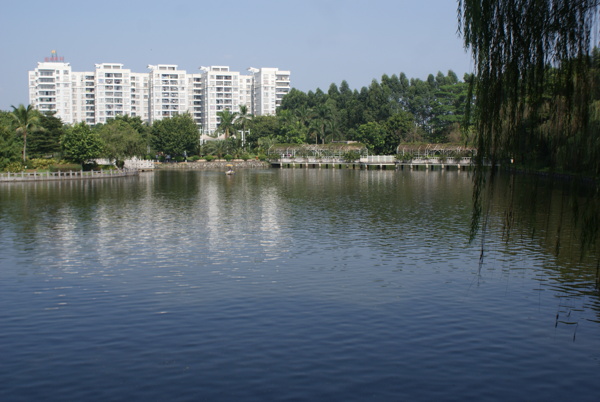 城郊秀水
