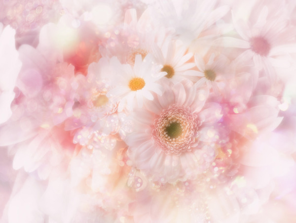 花朵背景