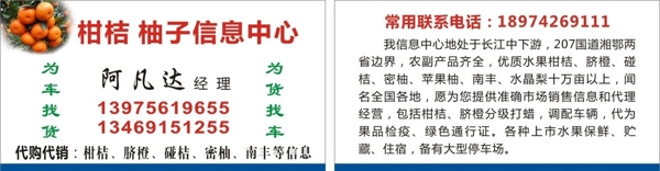 柑桔名片
