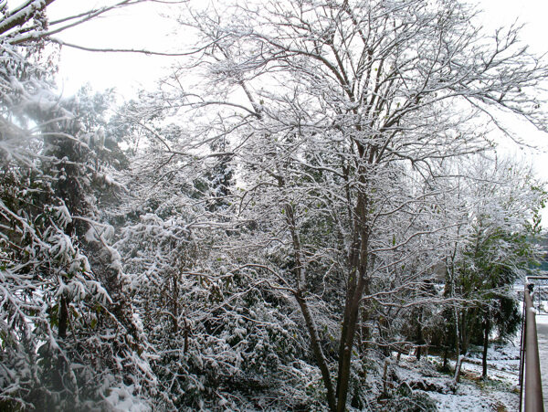雪色圖片