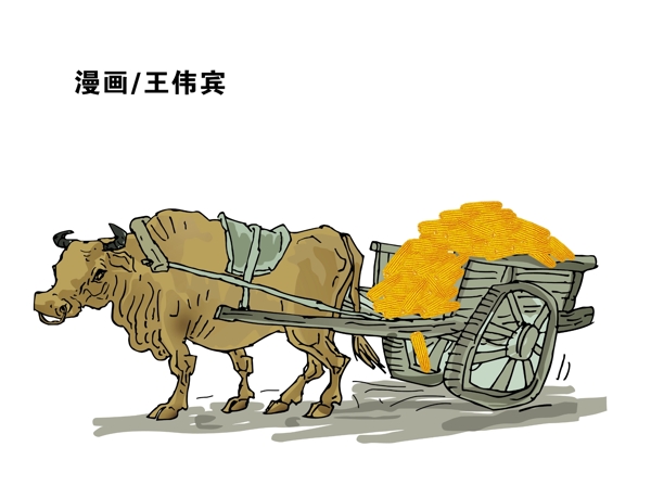 黃牛拉玉米