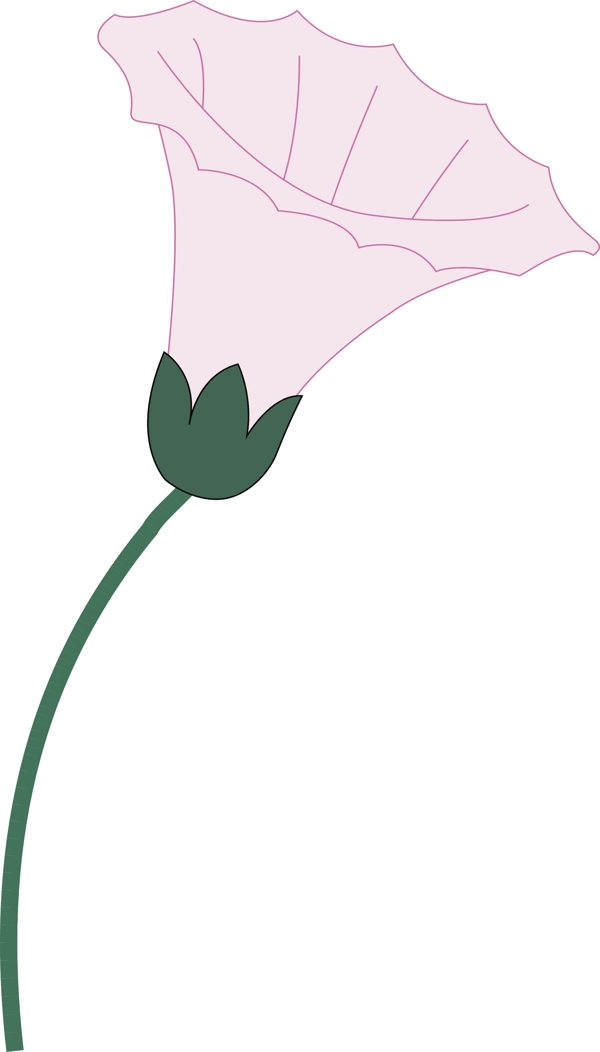 百合花矢量