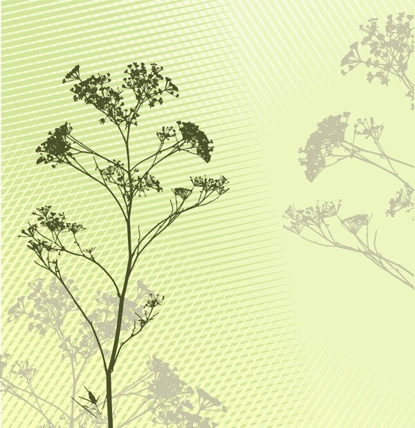 植物花草
