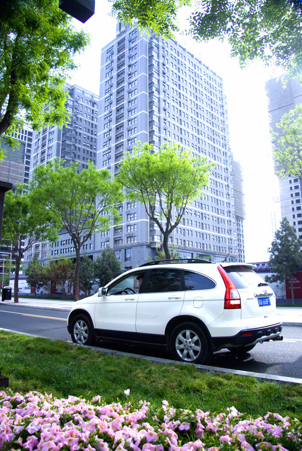 白色汽車攝影圖片