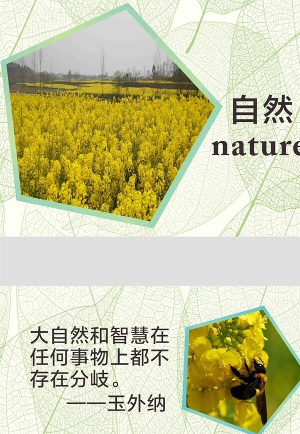 自然科學展板