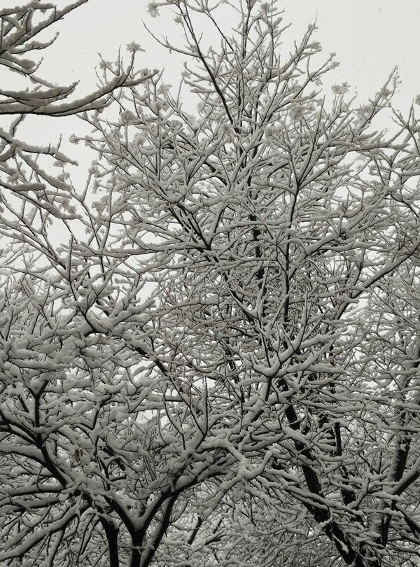 雪景紋理