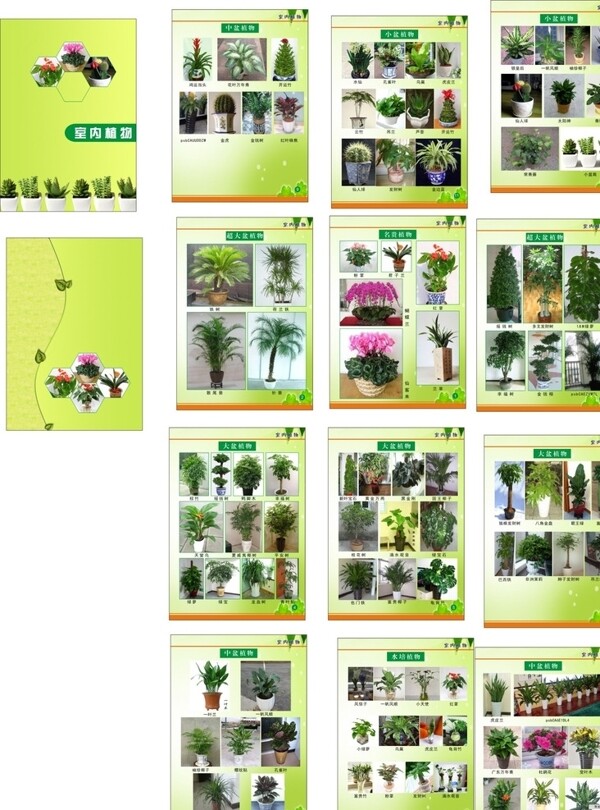 室內(nèi)植物