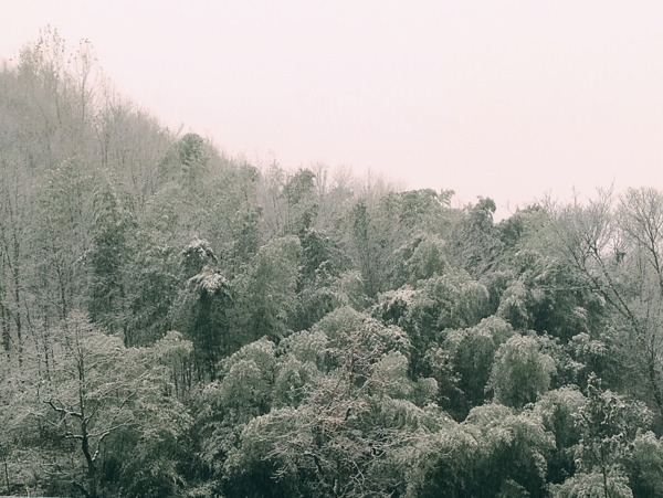 雾凇雪景