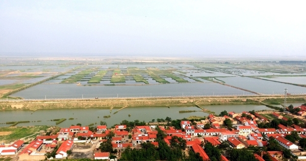 大荔黄河湿地