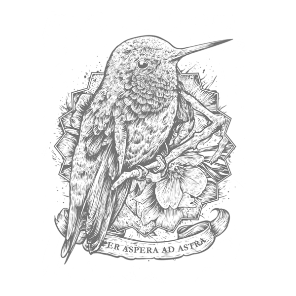 位圖插畫植物插畫藝術效果手繪免費素材